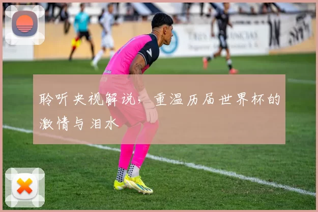 聆听央视解说，重温历届世界杯的激情与泪水