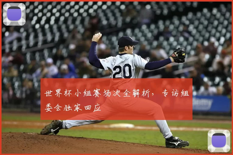 世界杯小组赛场次全解析，专访组委会独家回应