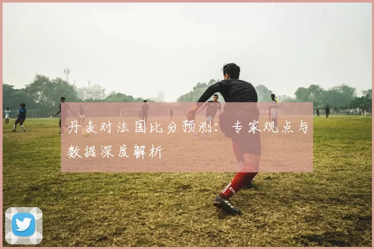 丹麦对法国比分预测：专家观点与数据深度解析