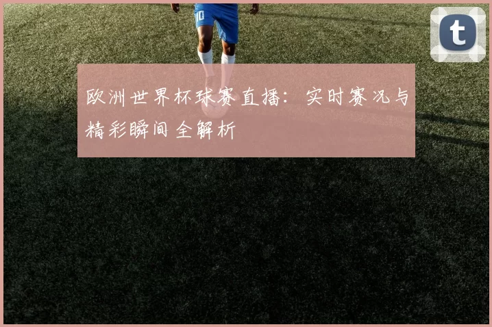 欧洲世界杯球赛直播：实时赛况与精彩瞬间全解析