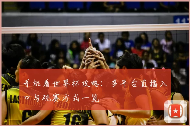 手机看世界杯攻略：多平台直播入口与观赛方式一览