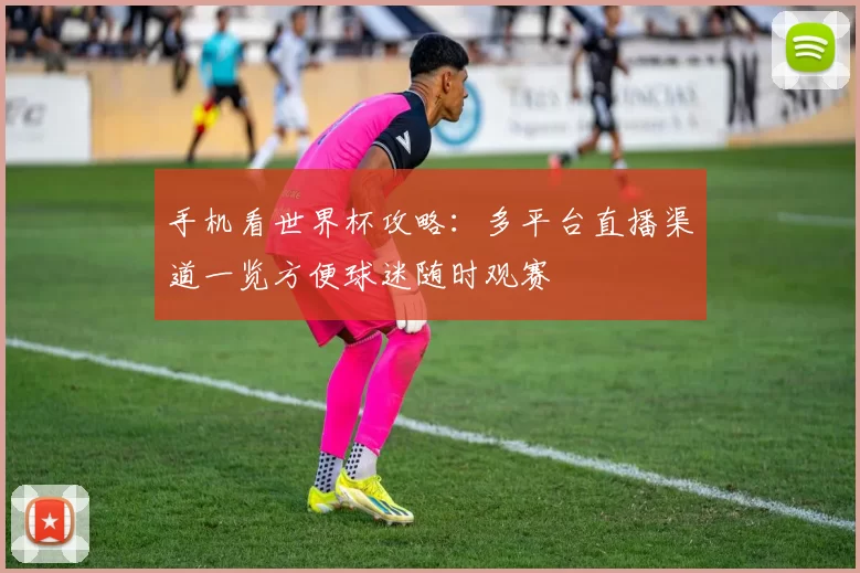 手机看世界杯攻略：多平台直播渠道一览方便球迷随时观赛