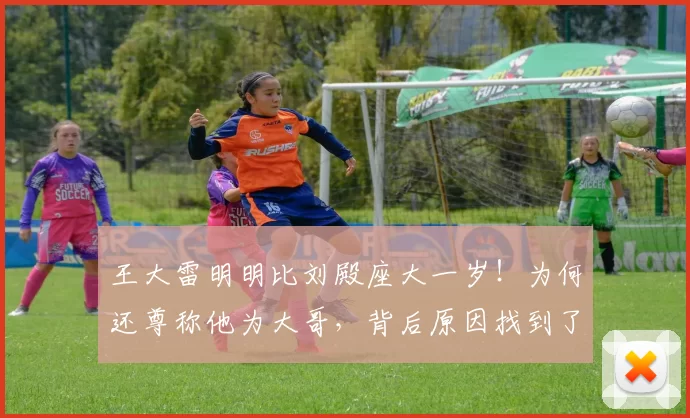 王大雷明明比刘殿座大一岁!为何还尊称他为大哥,背后原因找到了