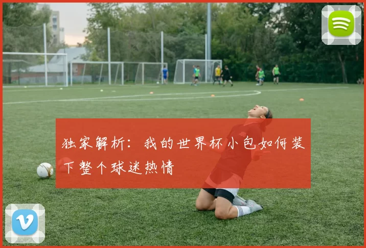 独家解析:我的世界杯小包如何装下整个球迷热情