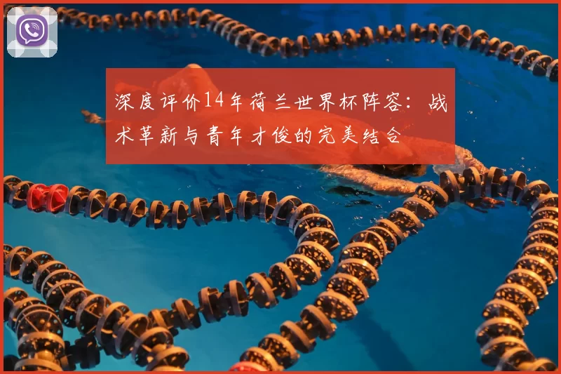 深度评价14年荷兰世界杯阵容：战术革新与青年才俊的完美结合