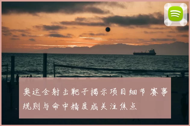 奥运会射击靶子揭示项目细节 赛事规则与命中精度成关注焦点