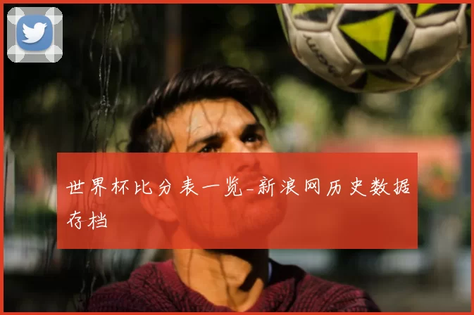 世界杯比分表一览_新浪网历史数据存档