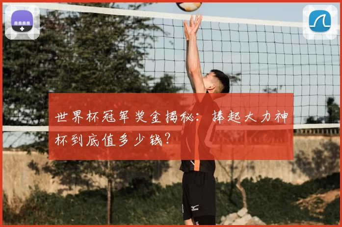 世界杯冠军奖金揭秘：捧起大力神杯到底值多少钱？