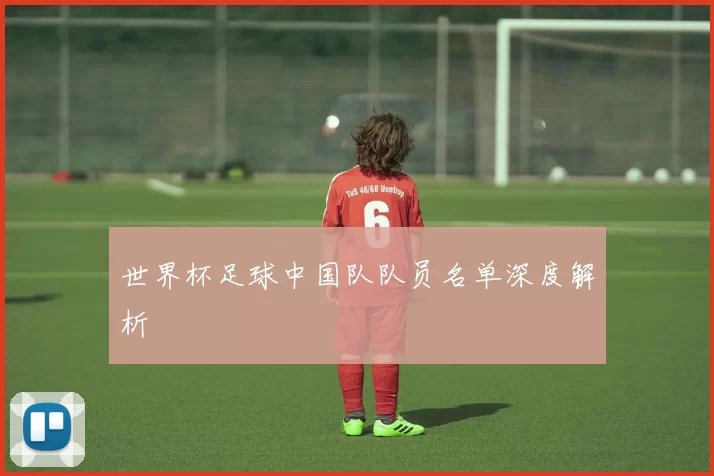 世界杯足球中国队队员名单深度解析