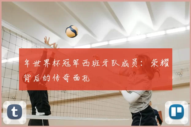 年世界杯冠军西班牙队成员:荣耀背后的传奇面孔